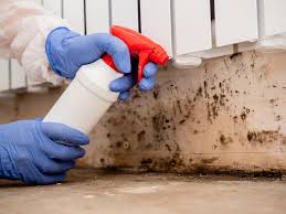 Trusted Van Buren, MO Mold Removal Experts